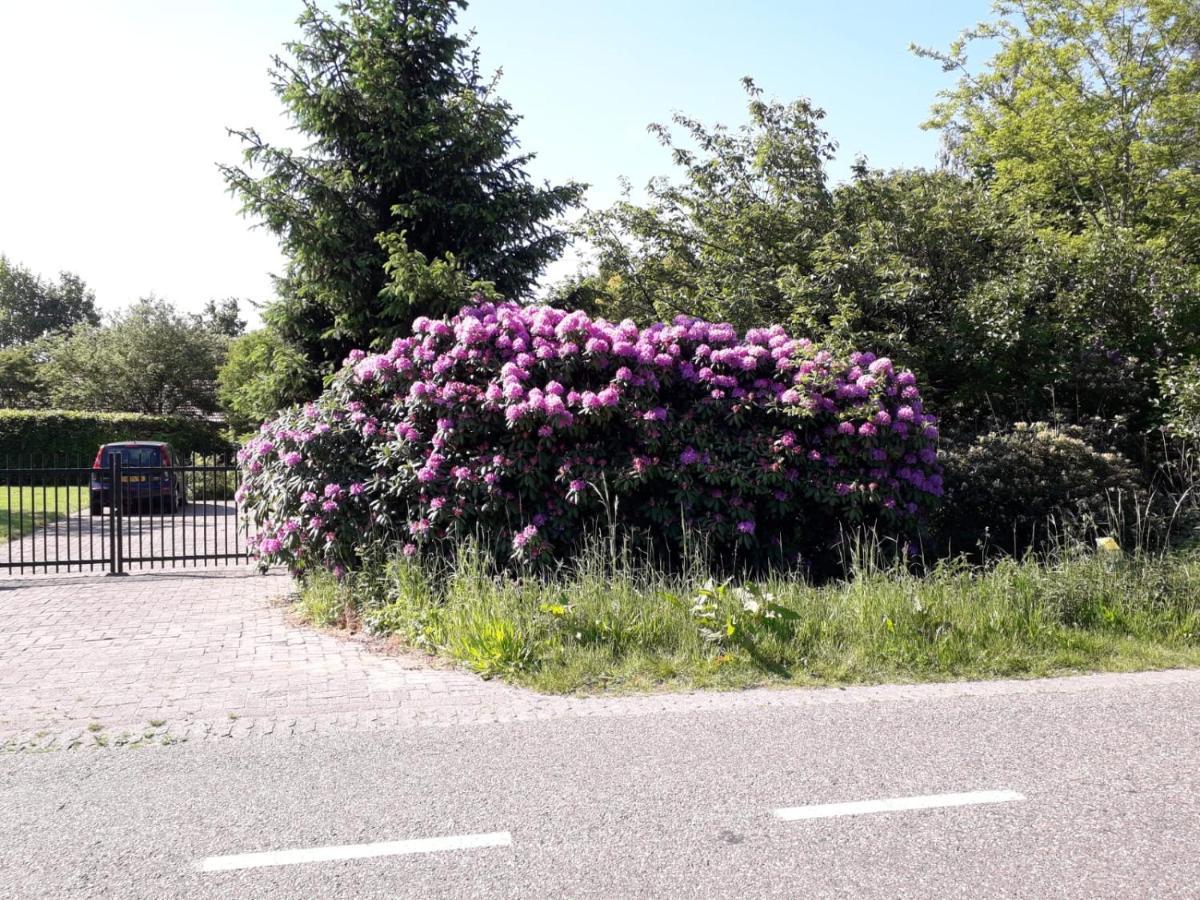 Ferienwohnung Natuurlijk Leuk Sterksel Exterior foto