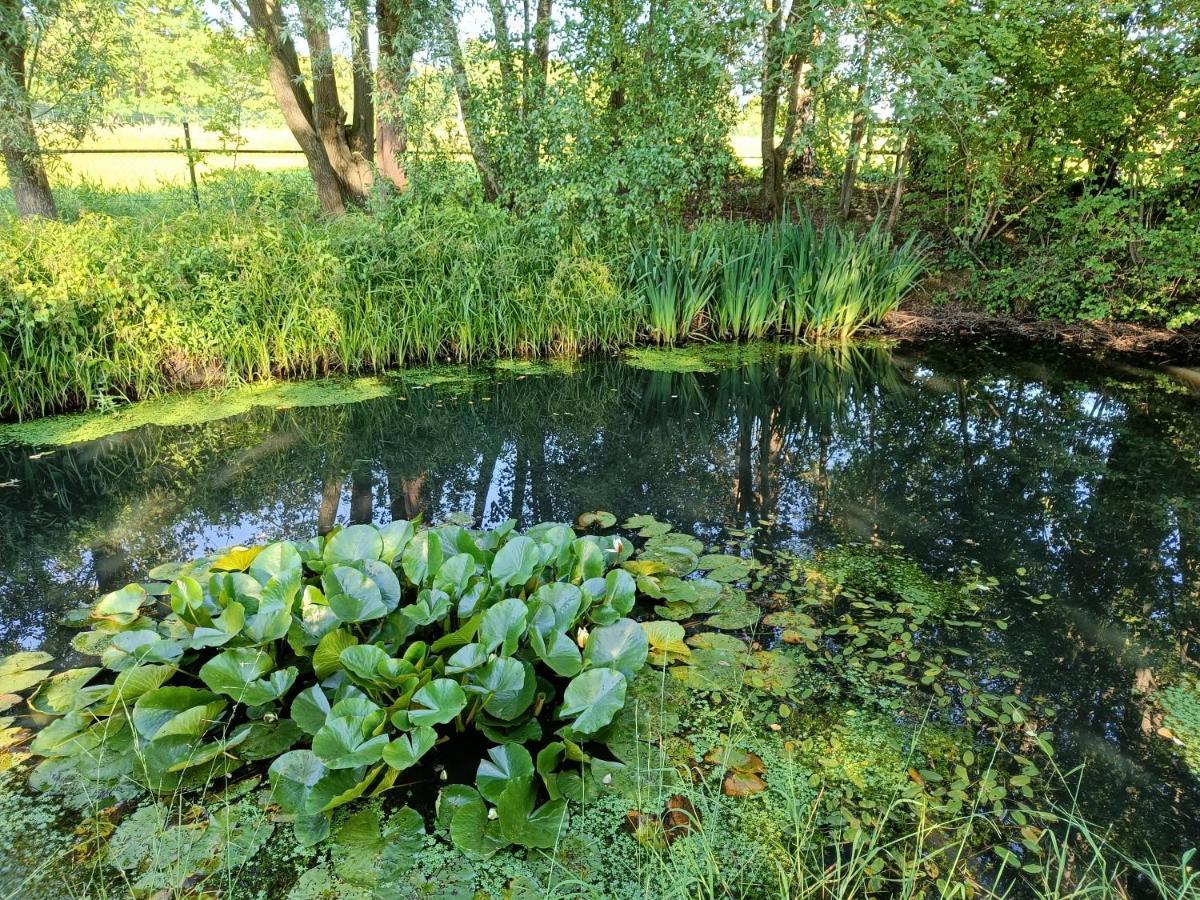 Ferienwohnung Natuurlijk Leuk Sterksel Exterior foto